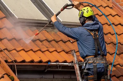Démoussage et hydrofuge de toiture à Cogners